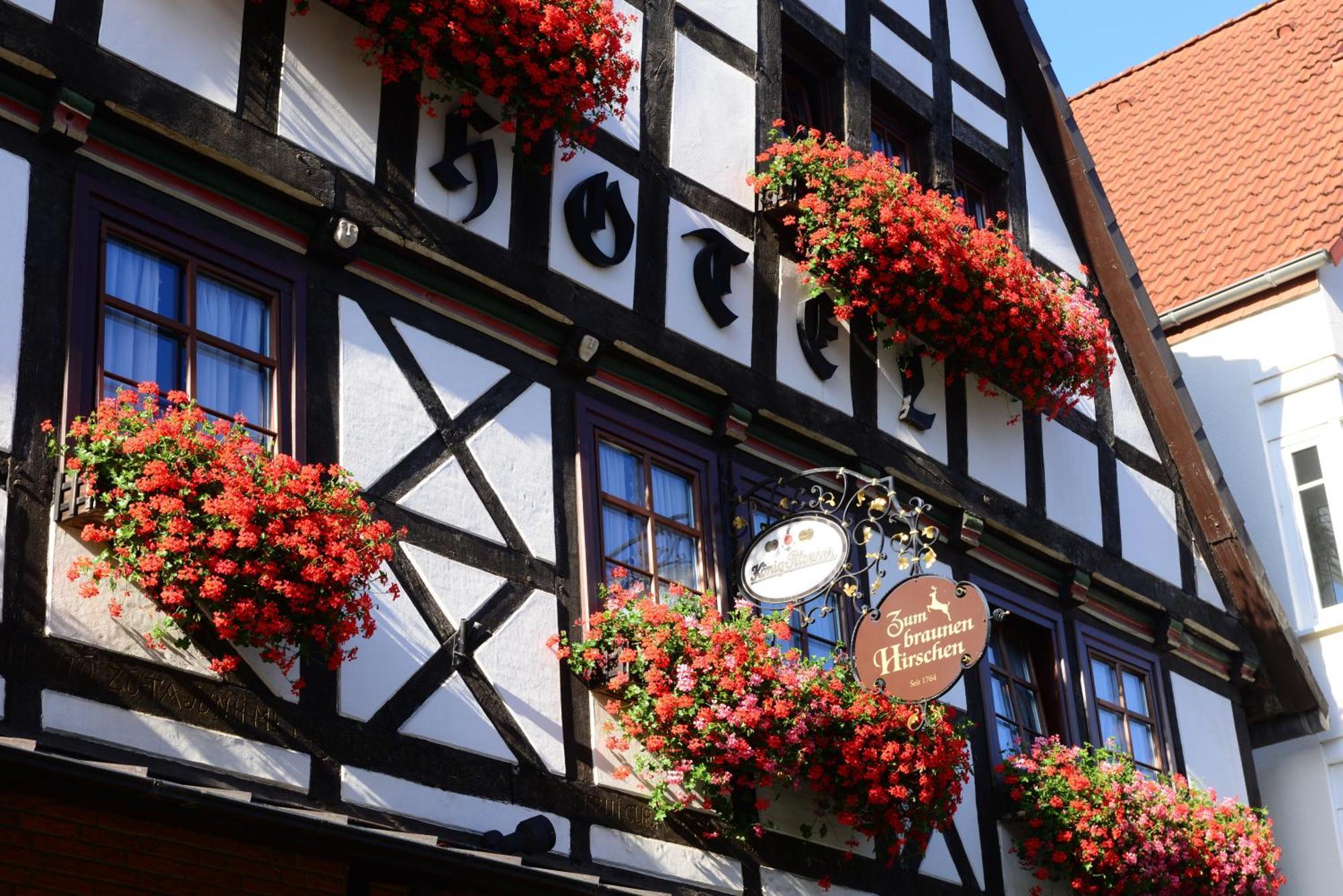 Hotel Zum Braunen Hirschen Bad Driburg Luaran gambar